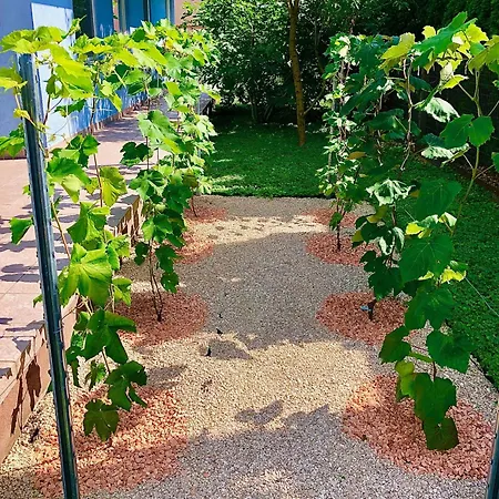 شقة Casa Galliera - *