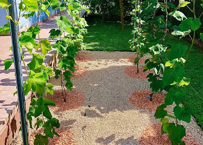 Apartment Casa Galliera - *